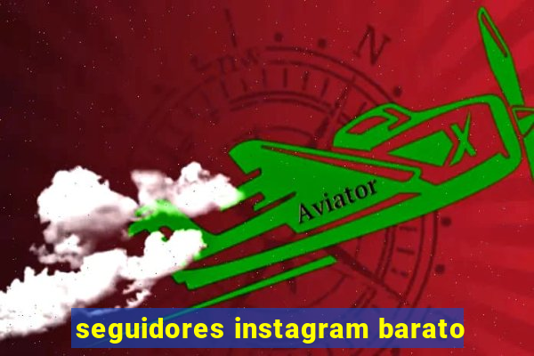 seguidores instagram barato