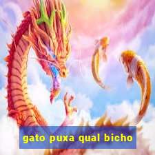 gato puxa qual bicho