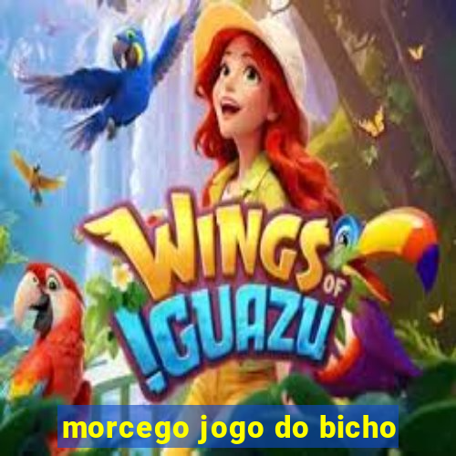 morcego jogo do bicho