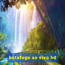 botafogo ao vivo hd