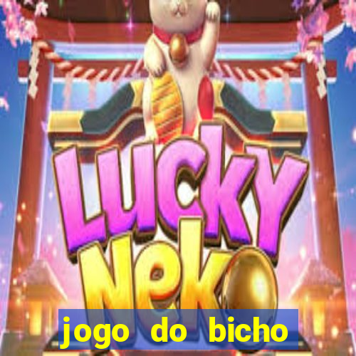 jogo do bicho crash bingo