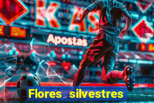 Flores silvestres brasileiras 25