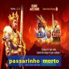 passarinho morto significado espiritual