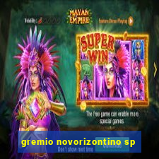 gremio novorizontino sp