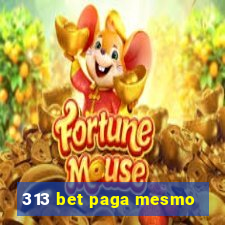 313 bet paga mesmo