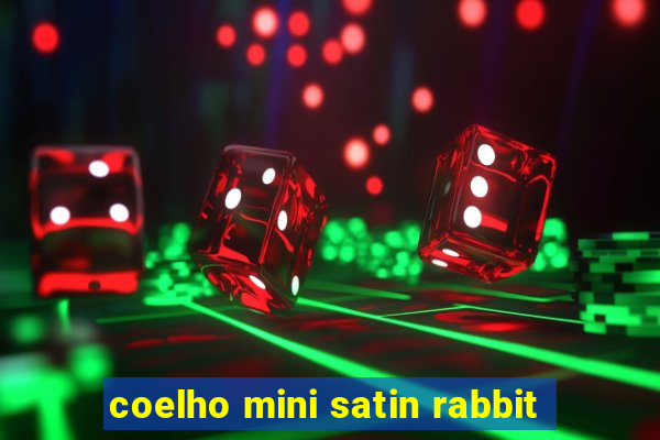 coelho mini satin rabbit