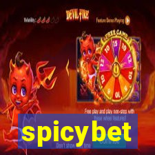 spicybet-4.com