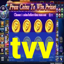 tvv-pg.com