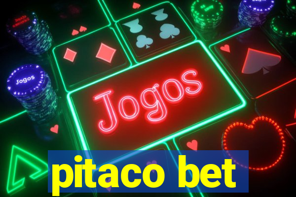 pitaco bet